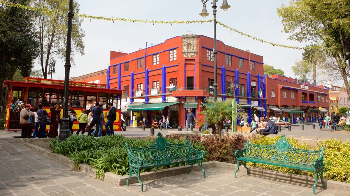 Desayunar entre árboles: este rincón secreto en Coyoacán se volvió el favorito del mes