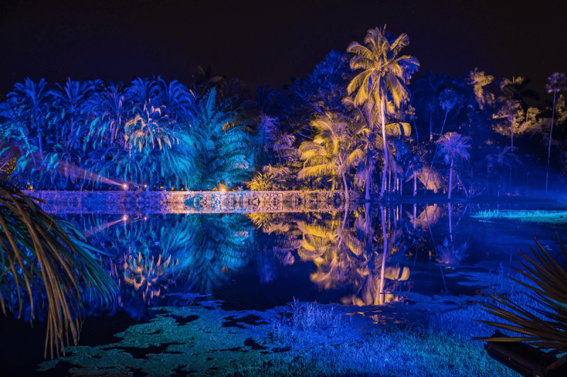 NightGarden
