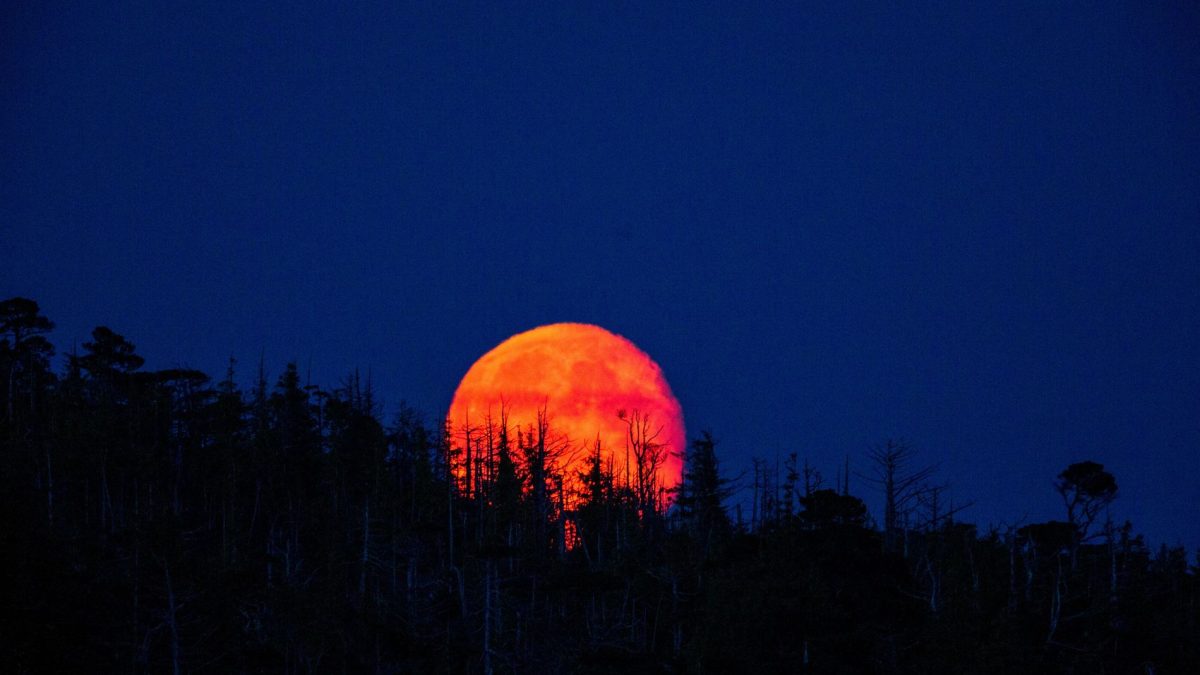 Luna de Sangre marzo 2026 en México: fecha y hora para ver el eclipse lunar total