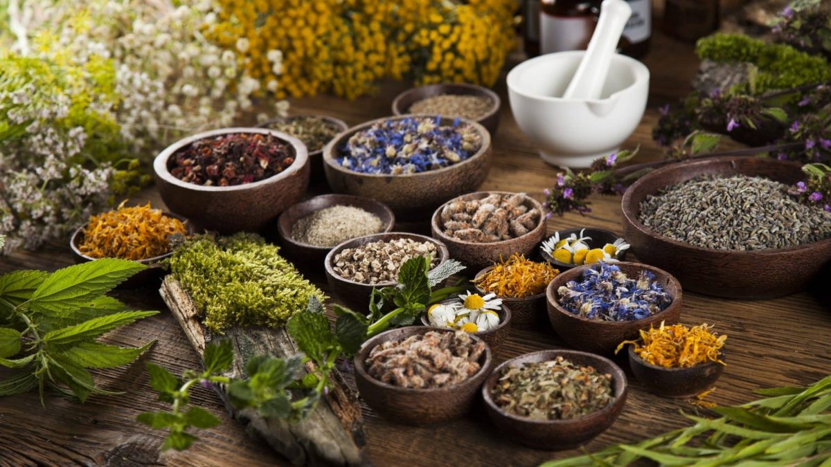 Los adaptógenos: el suplemento natural que domina el wellness