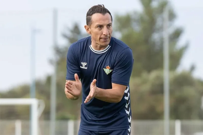 Guardado