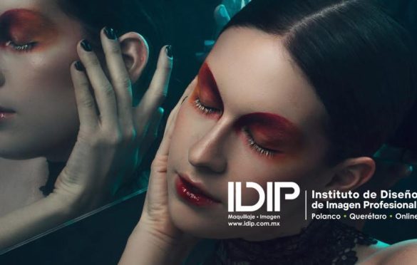 IDIP