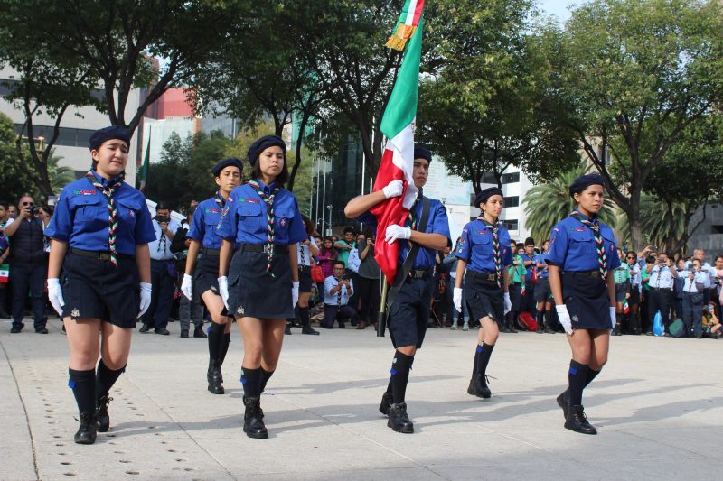 Scout