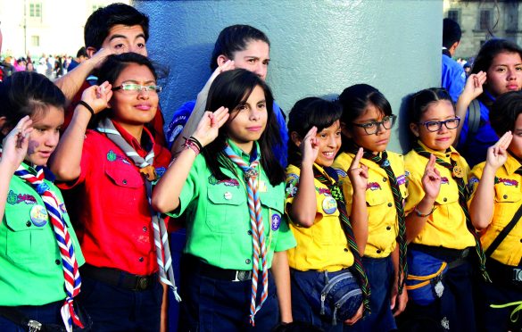 Scout